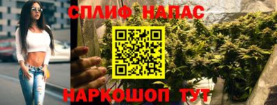 МДПВ Краснодар